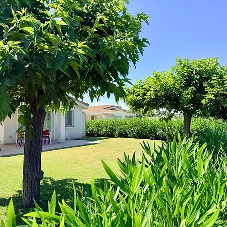 D'ogliastra كارديدو